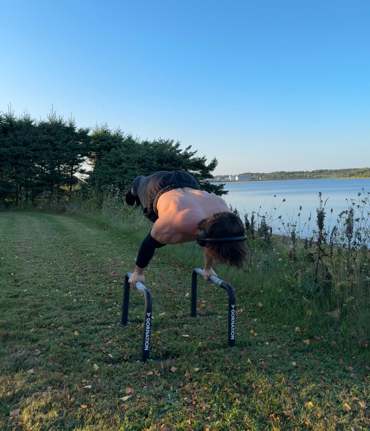 Intermediate to Advanced Calisthenics